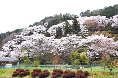 f:id:jranar:20120422090725j:image