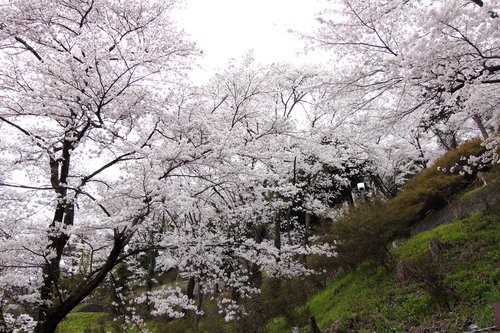 f:id:jranar:20120422090727j:image