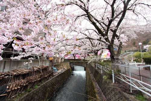 f:id:jranar:20120422090728j:image
