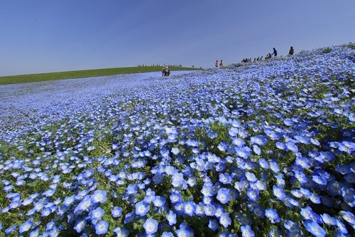 f:id:jranar:20120429194438j:image