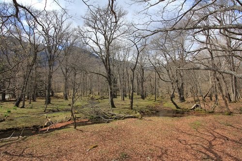 f:id:jranar:20120505235728j:image