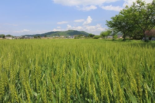 f:id:jranar:20120512202008j:image f:id:jranar:20120512202008j:image