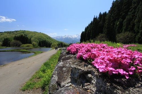 f:id:jranar:20120522220057j:image