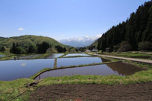 f:id:jranar:20120522220110j:image