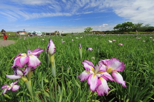 f:id:jranar:20120610113435j:image