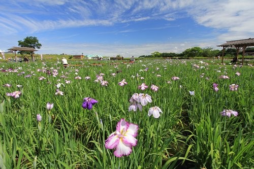 f:id:jranar:20120610113436j:image