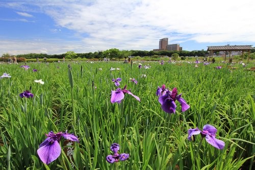 f:id:jranar:20120610113437j:image