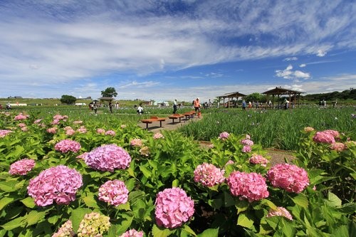 f:id:jranar:20120610113614j:image