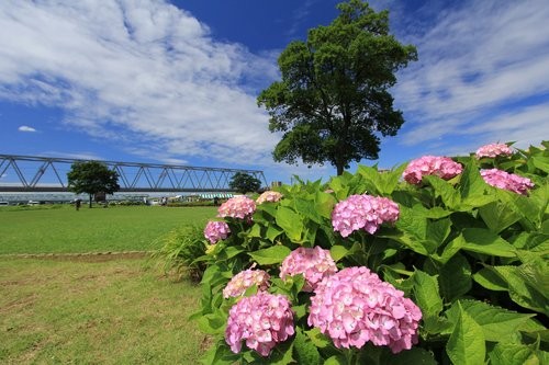 f:id:jranar:20120610113616j:image