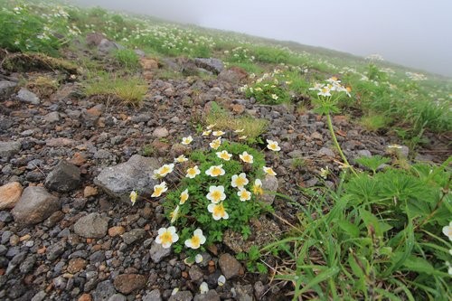 f:id:jranar:20120729083120j:image f:id:jranar:20120729083120j:image