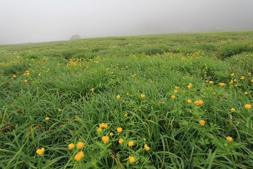 f:id:jranar:20120729083122j:image f:id:jranar:20120729083122j:image