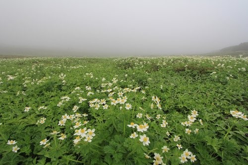 f:id:jranar:20120729083123j:image f:id:jranar:20120729083123j:image