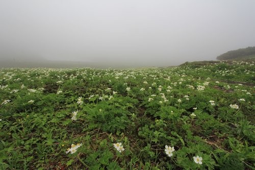 f:id:jranar:20120729083124j:image f:id:jranar:20120729083124j:image