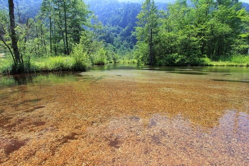f:id:jranar:20120729085006j:image f:id:jranar:20120729085006j:image