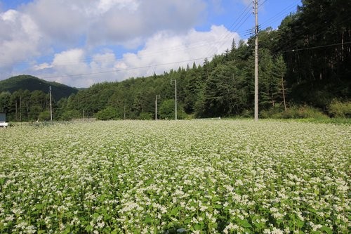 f:id:jranar:20120902083432j:image f:id:jranar:20120902083432j:image