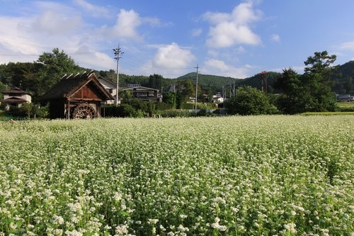 f:id:jranar:20120902083433j:image f:id:jranar:20120902083433j:image