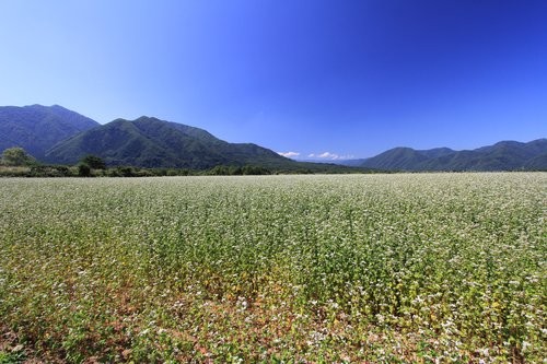 f:id:jranar:20120916082344j:image f:id:jranar:20120916082344j:image