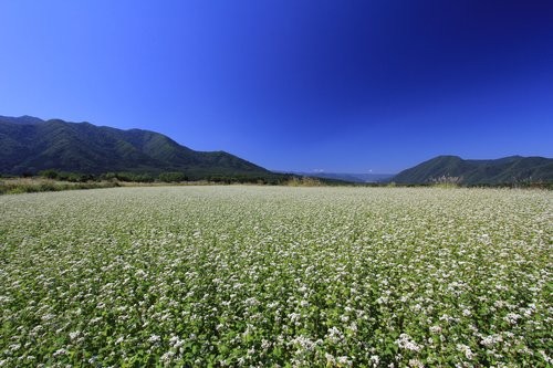f:id:jranar:20120916082345j:image f:id:jranar:20120916082345j:image