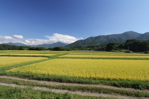 f:id:jranar:20120916154352j:image