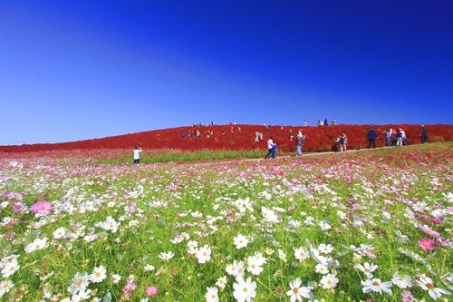 f:id:jranar:20121013205805j:image