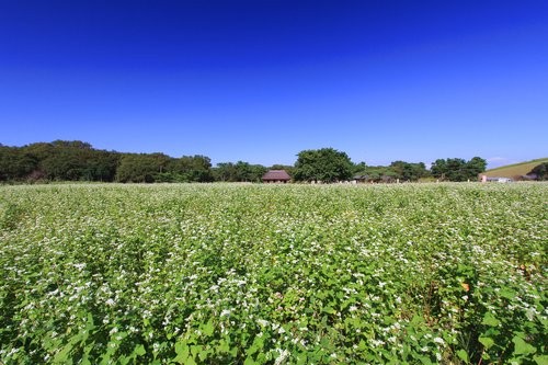 f:id:jranar:20121013205807j:image