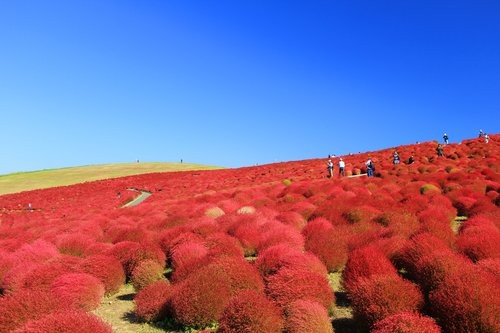 f:id:jranar:20121013205809j:image