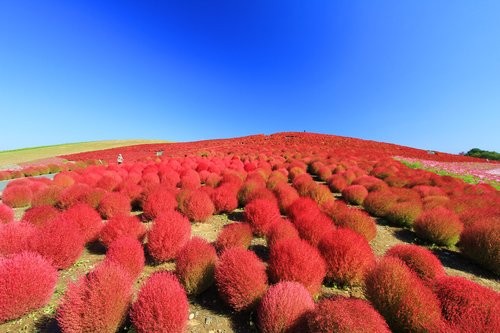 f:id:jranar:20121013205811j:image