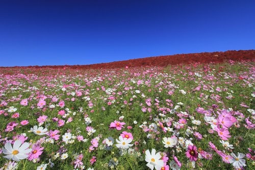 f:id:jranar:20121013205814j:image