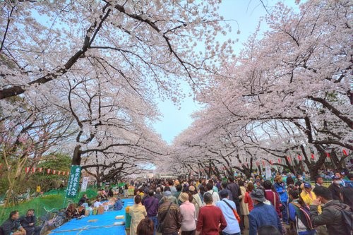 f:id:jranar:20130414060336j:image
