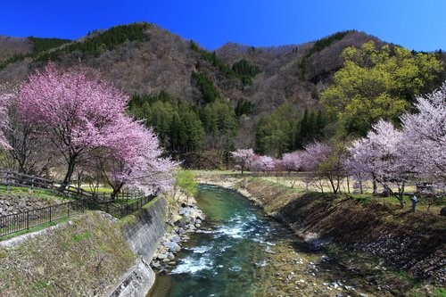 f:id:jranar:20130430154943j:image f:id:jranar:20130430154943j:image