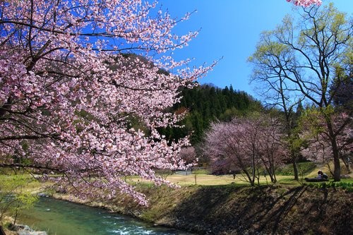 f:id:jranar:20130430154944j:image f:id:jranar:20130430154944j:image