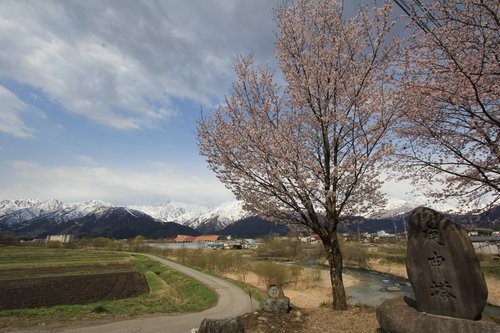 f:id:jranar:20130430165512j:image