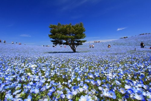 f:id:jranar:20130504213955j:image f:id:jranar:20130504213955j:image