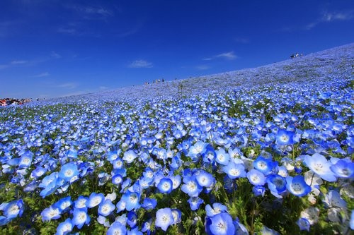 f:id:jranar:20130504213956j:image