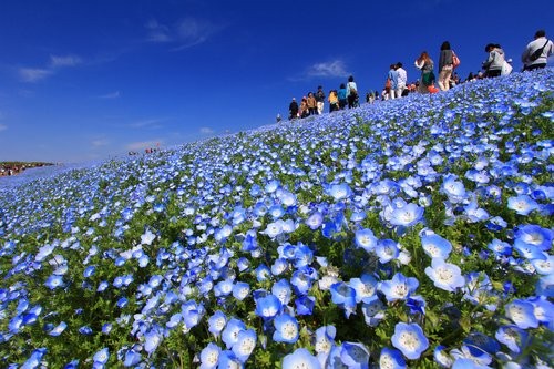 f:id:jranar:20130504213957j:image