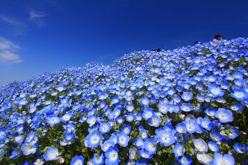f:id:jranar:20130504213958j:image