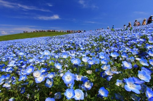 f:id:jranar:20130504213959j:image