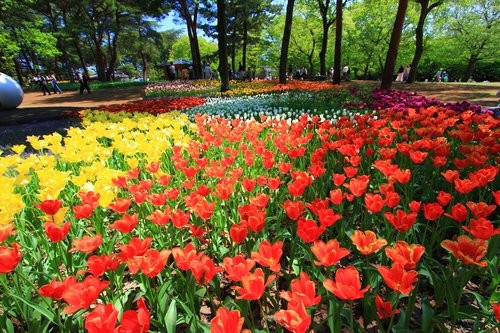 f:id:jranar:20130504215549j:image f:id:jranar:20130504215549j:image