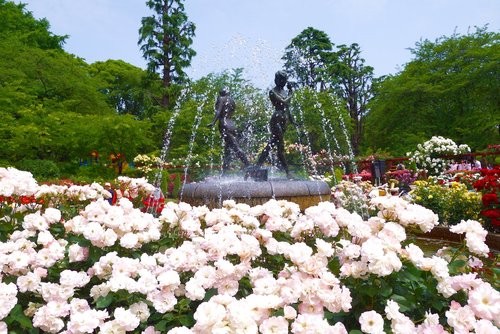 f:id:jranar:20130525234239j:image