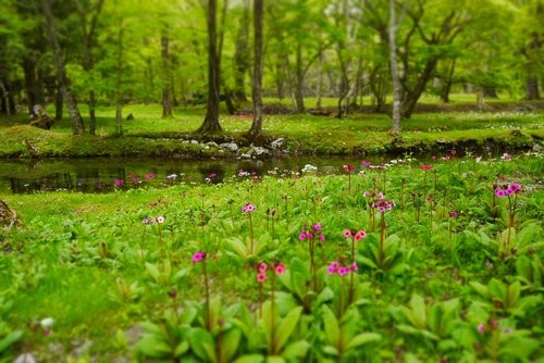 f:id:jranar:20130601224153j:image
