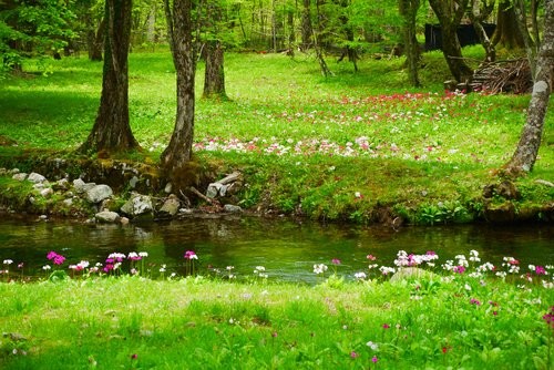 f:id:jranar:20130601224156j:image