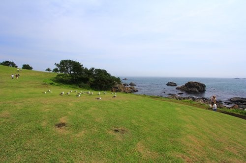f:id:jranar:20130715140528j:image f:id:jranar:20130715140528j:image