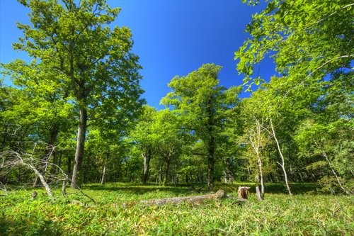 f:id:jranar:20130917201040j:image