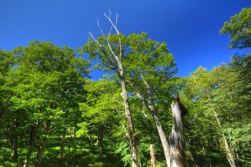 f:id:jranar:20130917201111j:image