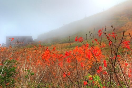 f:id:jranar:20131023081544j:image f:id:jranar:20131023081544j:image