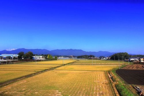 f:id:jranar:20131116205320j:image f:id:jranar:20131116205320j:image