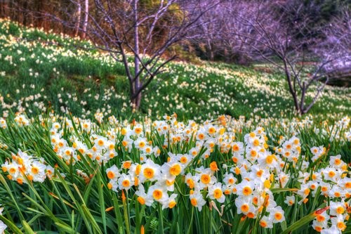 f:id:jranar:20140201232124j:image f:id:jranar:20140201232124j:image