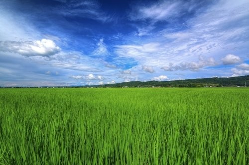 f:id:jranar:20140721100115j:image