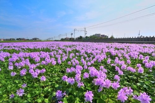 f:id:jranar:20140906164247j:image