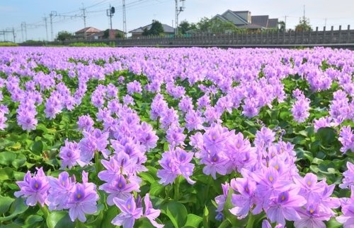f:id:jranar:20140906164356j:image
